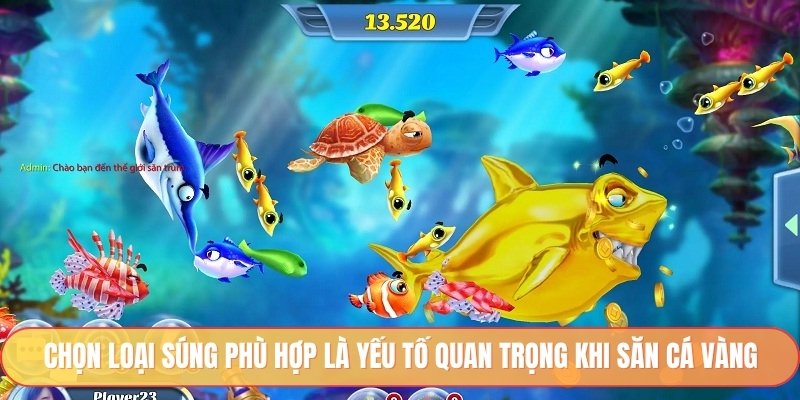 Chọn loại súng phù hợp là yếu tố quan trọng khi săn cá vàng