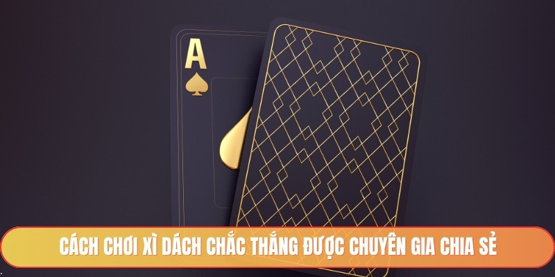 Cách chơi xì dách chắc thắng được chuyên gia chia sẻ