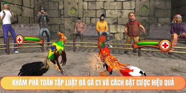 Luật Đá Gà C1