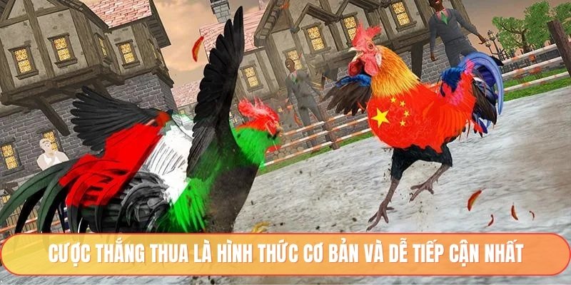 Cược thắng thua là hình thức cơ bản và dễ tiếp cận nhất